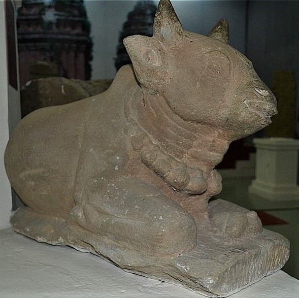 551-General Museum of Binh Dinh