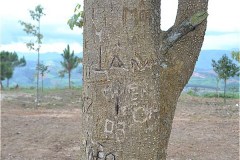 インドシナ交差点 (Landmarks the border Vietnam-Laos-Cambodia)