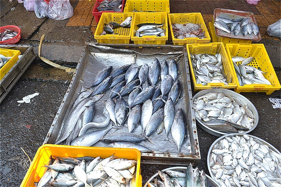 コントゥム市路上マーケットで売っている魚介類