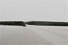カマウ岬；干潟（bãi bồi ĐẤT MŨI）の観察所
